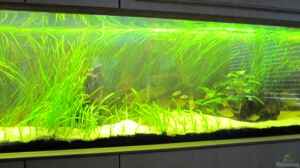 Bild aus dem Beispiel Becken 10090 von Barbara Langenberger