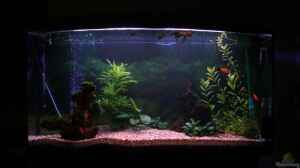 Bild aus dem Beispiel Becken 11877 von Legolas_84