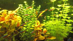 Bild aus dem Beispiel Aqualounge von BaniW