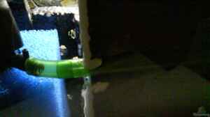 Bild aus dem Beispiel Froschgrotte von LaEy