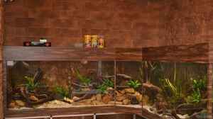 Gesamtansicht der Aquarienecke. Nur der Unterschra
