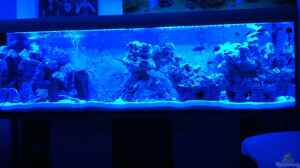 Bild aus dem Beispiel Becken 25658 von neues becken 720 l