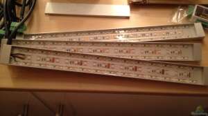 LumLight RGB LEDs 3x 375mm