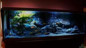 Bild aus dem Beispiel Becken 26004 von Frank Hopp