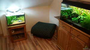 mein Aqua-Büro