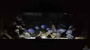 Aquarium 200x80x70