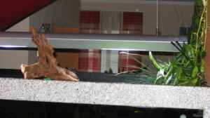 Bild aus dem Beispiel Becken 3967 von Martina Schneider