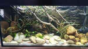 Bild aus dem Beispiel Flowing Asian River von Leon