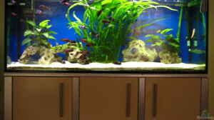 Bild aus dem Beispiel Becken 4130 von Gordon Gewiese