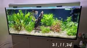 Aquarium Hauptansicht von Meine kleine Unterwasser