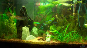 Tetra AquaArt 54L
