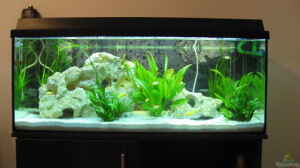 Bild aus dem Beispiel Becken 7277 von Doris77