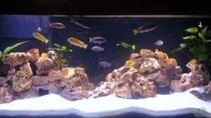 Bild aus dem Beispiel Becken 8459 von wuk12