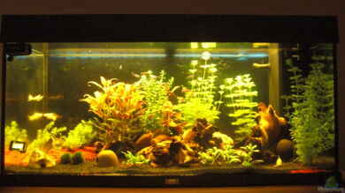 Aqualounge von BaniW