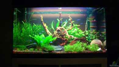 Becken 18228 von Danny Freyer