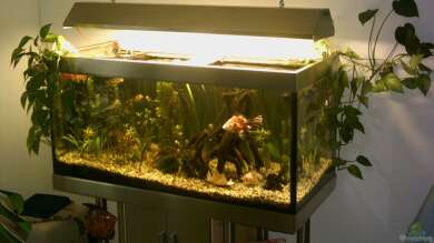 Becken 2208 von Ronald Boshold
