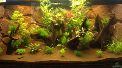 Hängendes Eckaquarium von ronnsch