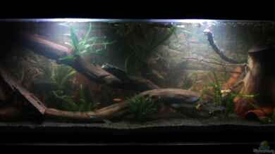 Deep Amazonas von SouthAmerica