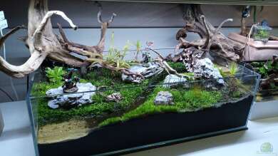 Dartmoor von Junglist