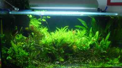 Becken 793 von Christoph Grote