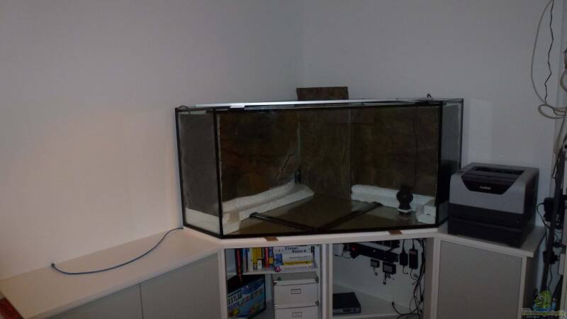 Vor- und Nachteile von Delta-Aquarien: Eine detaillierte Übersicht