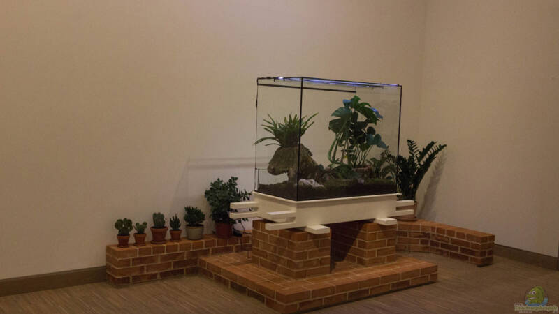 Die Grundreinigung deines Terrariums: Ein Leitfaden