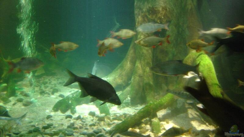 Sealife München