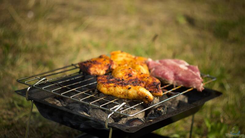 Grill oder eine Feuerschale neben dem Gartenteich aufstellen?