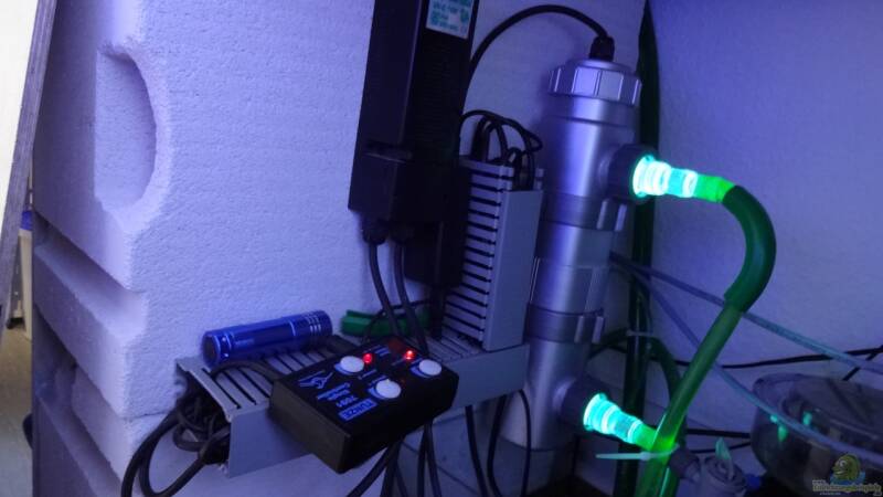Wie arbeitet ein UV-Klärer im Aquarium oder Gartenteich?