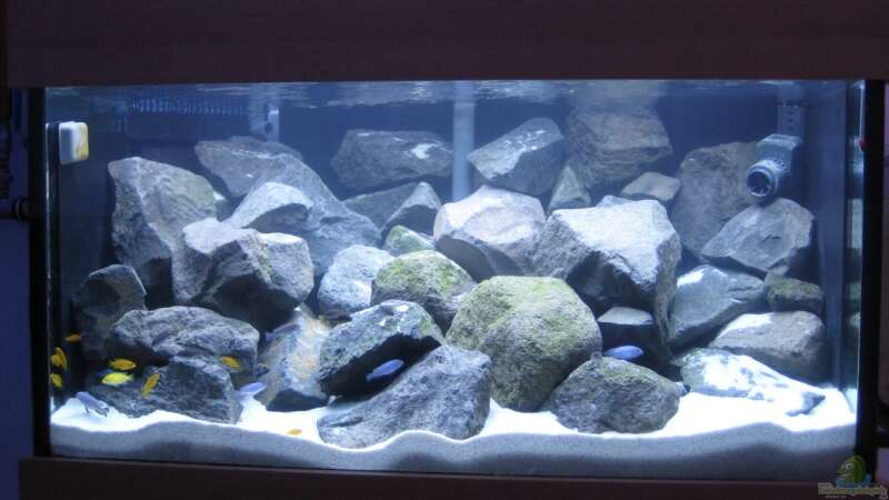 Aquarium Hauptansicht von Becken 10474