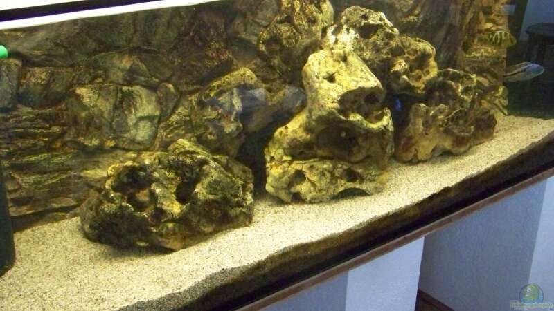 Aquarium Hauptansicht von Becken 10655
