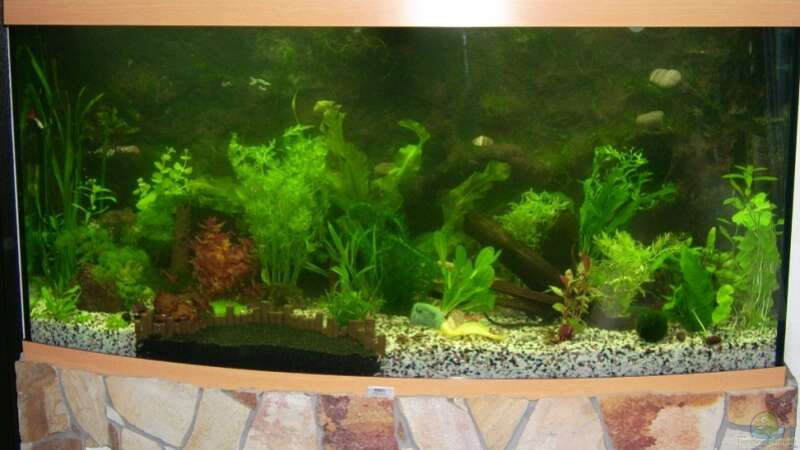 Aquarium Hauptansicht von Becken 12043