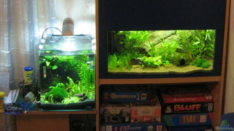 60 Liter Krebsbecken
