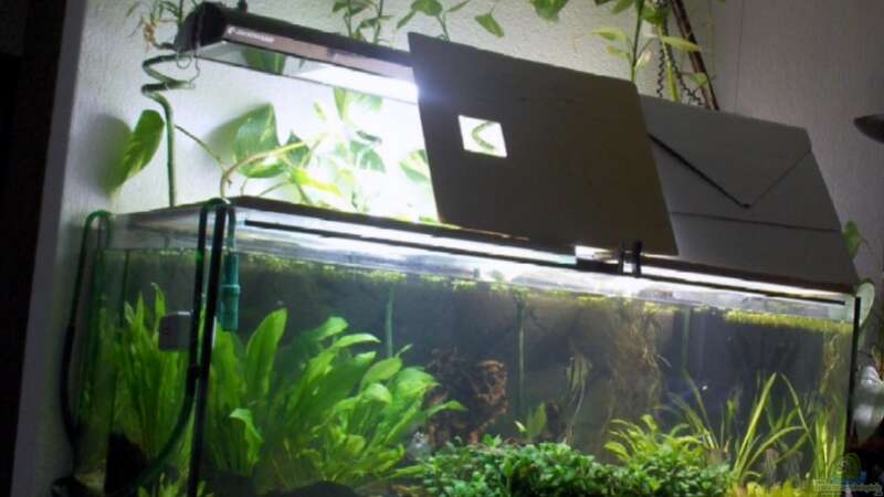Aquarium Hauptansicht von Becken 1483