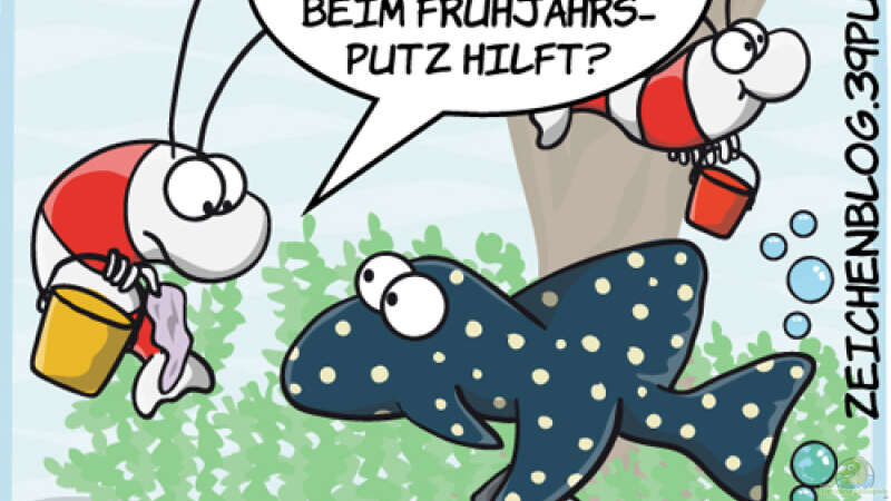 Garnelencartoons - Feuchtfröhlicher Humor aus dem Nanobecken