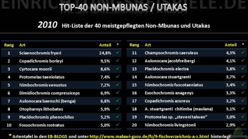 TOP-MALAWIS auf Einrichtungsbeispiele.de