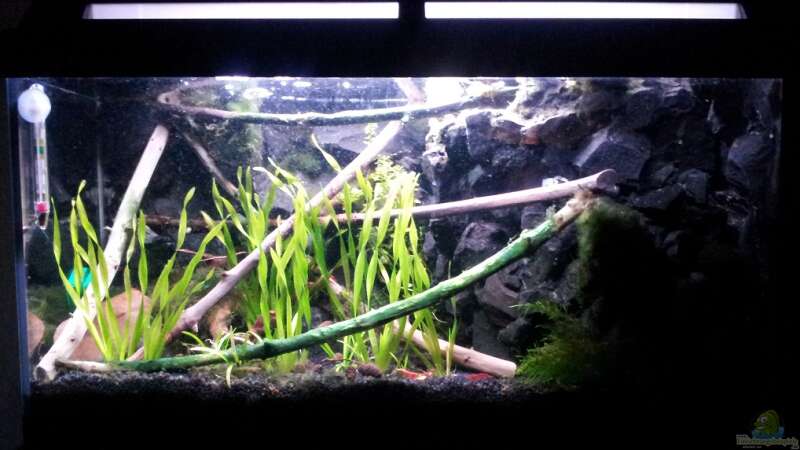 Newbie`s Waterworld