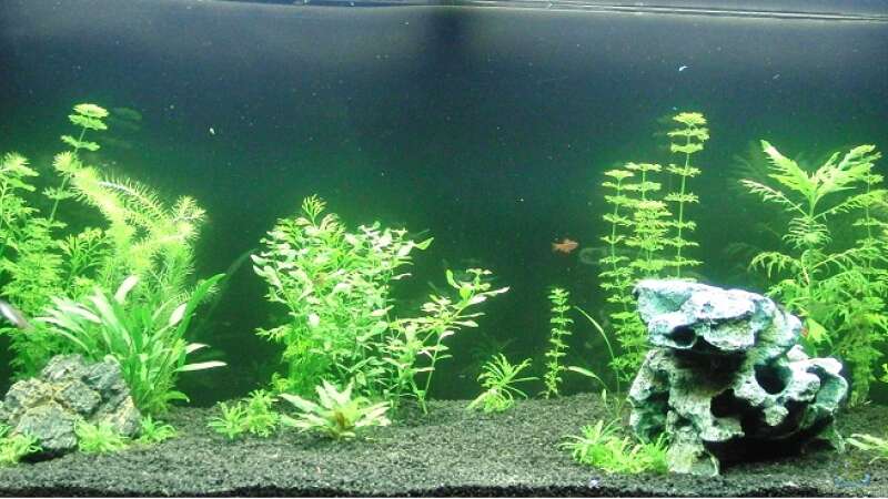 Hauptbild
