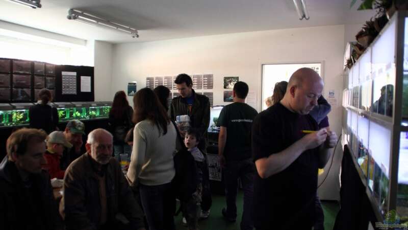 Bericht und Bilder vom Aquaristikevent für das Programm am 16.04.2011 in Berlin