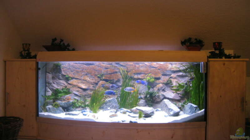 Aquarium Hauptansicht von Becken 2162