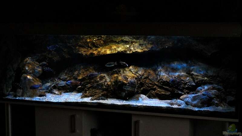 Aquarium Hauptansicht von Rockzolid Cave (Aufgelöst)