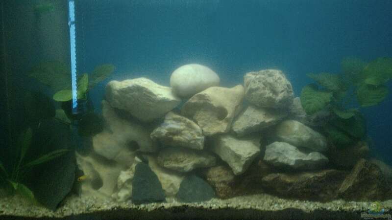 Becken nach Umgestaltung