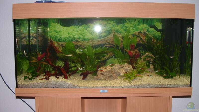 Aquarium Hauptansicht von Becken 2482