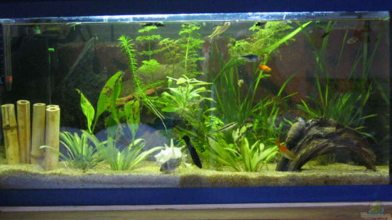 Hier ist mein Becken