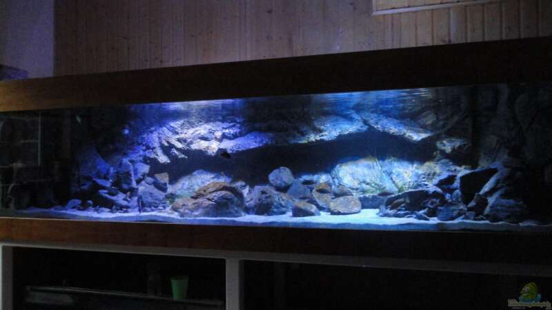 Aquarium Hauptansicht von Guido´s Kaiserpalast