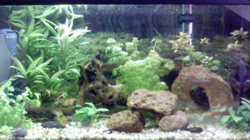 Aquarium Hauptansicht von Becken 2628