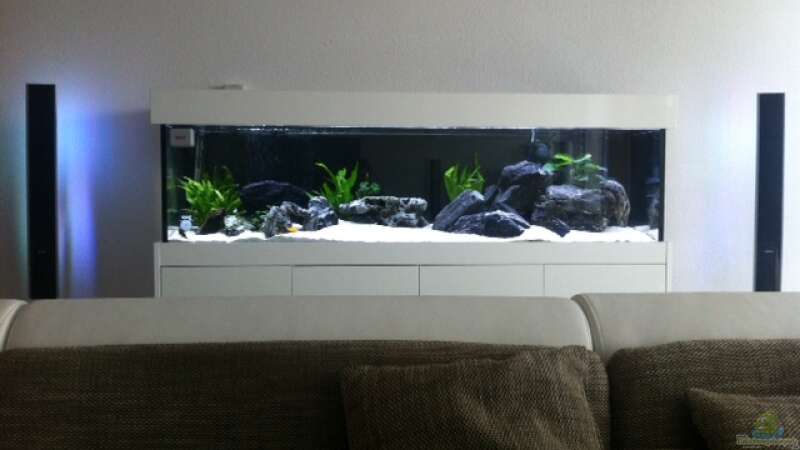 Aquarium zwischen LED Dolby Surround System