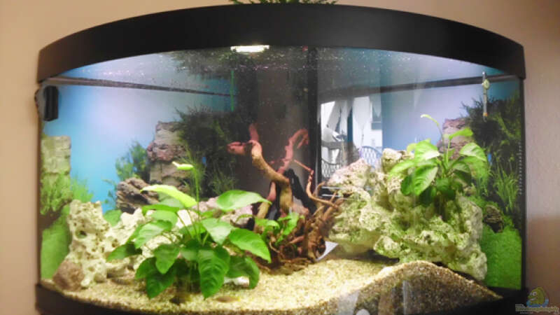 Aquarium Hauptansicht von Becken 26538