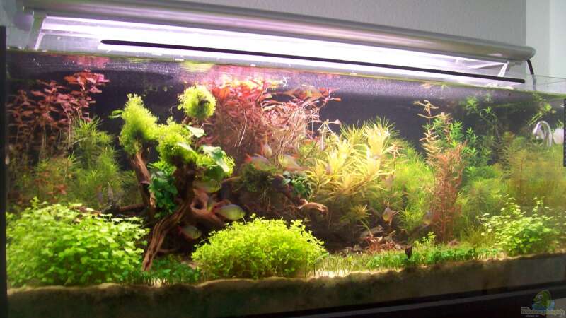 Becken Aktuell 26.08.2013