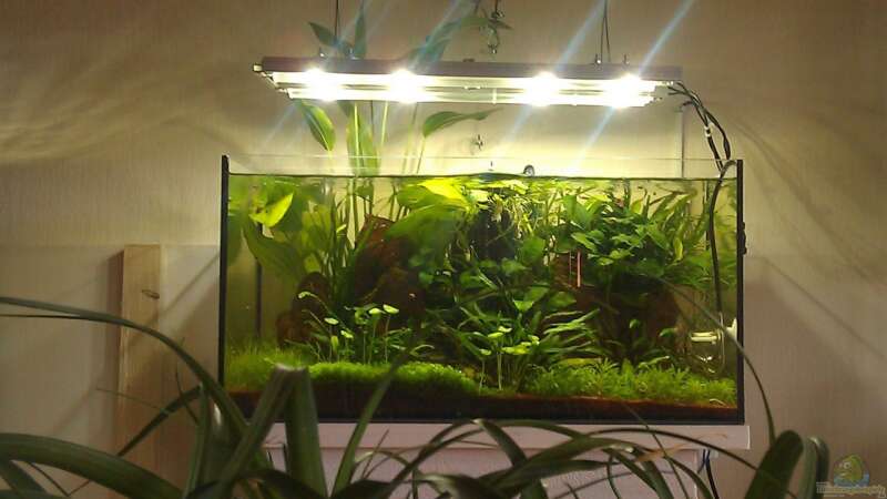 Living-Room-Tank 1.0